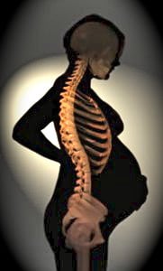a demonstration of a pregnant womans skeleton