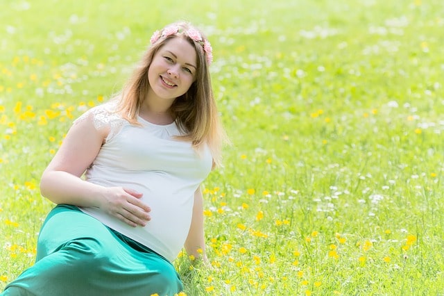 A happy pregnant woman in a meadow