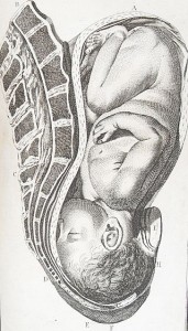 medical illustration of the lightening, or when a baby moves into position for birth.