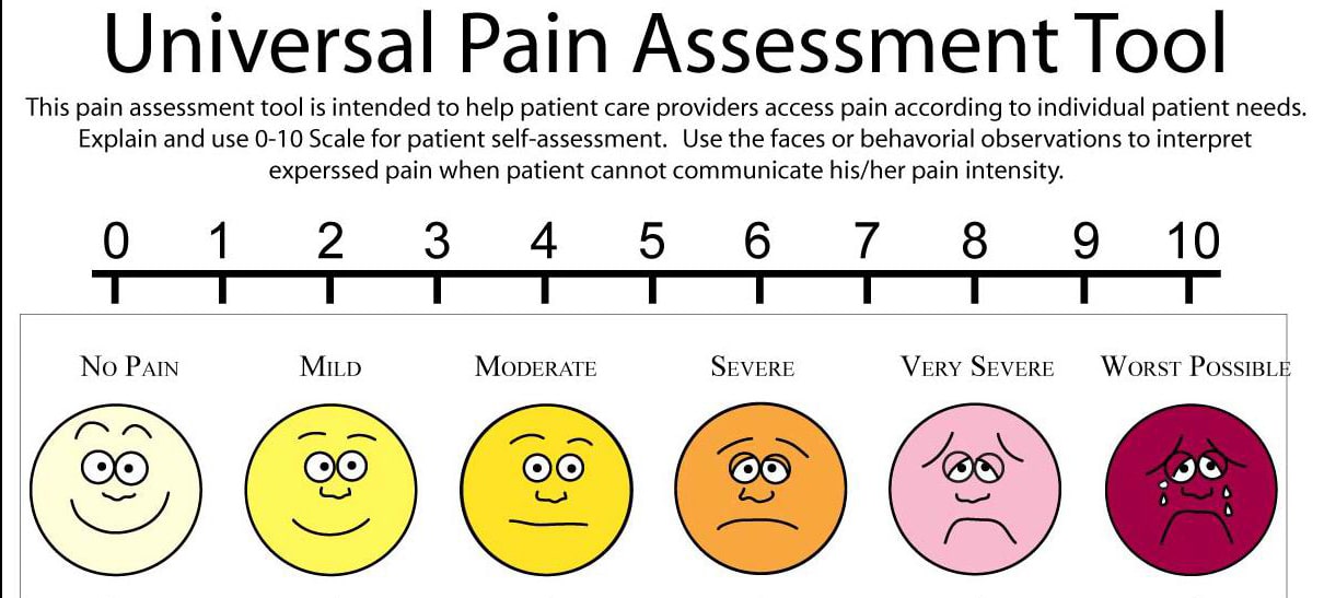 Шкала ваш. Pain шкала. Визуальная шкала оценки боли у животных. Pain intensity Scale. Cpot шкала.