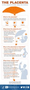 Placenta infographic